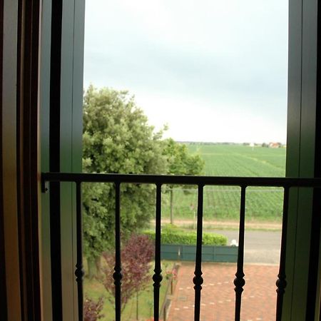 Terzo Bacino Bed & Breakfast San Michele al Tagliamento Exterior photo